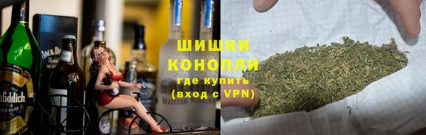 соль ск Абаза