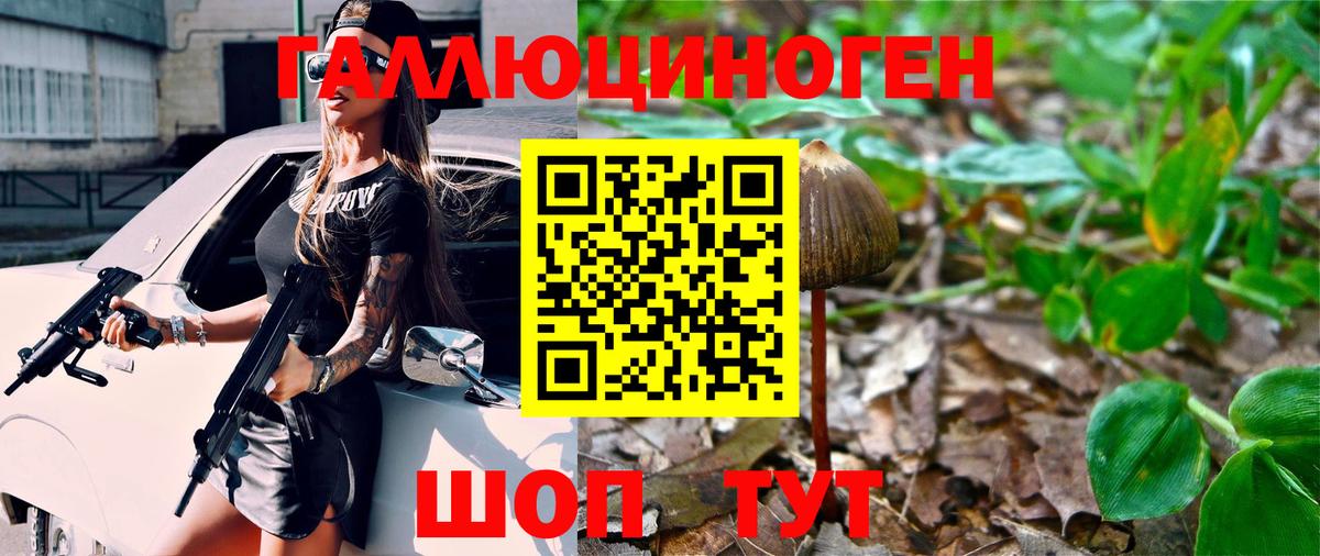 Тольятти  Псилоцибиновые грибы MAGIC MUSHROOMS  продажа наркотиков  Вход с VPN 