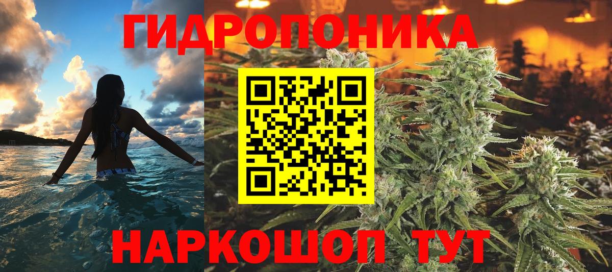 Бошки марихуана LSD WEED  Каннабис план  Вход с VPN  Тольятти  МАРИХУАНА OG Kush 